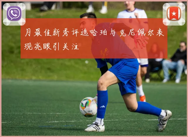 月最佳新秀评选哈珀与克尼佩尔表现亮眼引关注