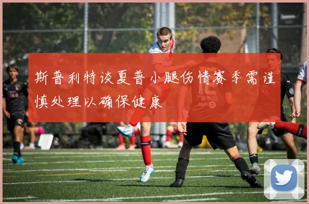斯普利特谈夏普小腿伤情赛季需谨慎处理以确保健康