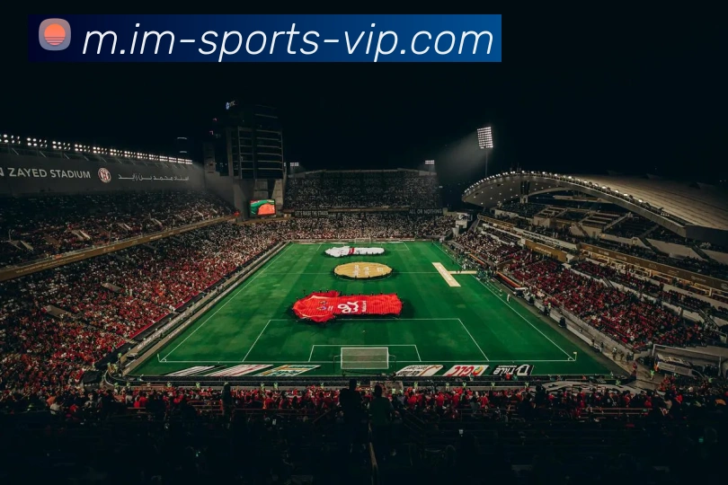 App Interface Preview