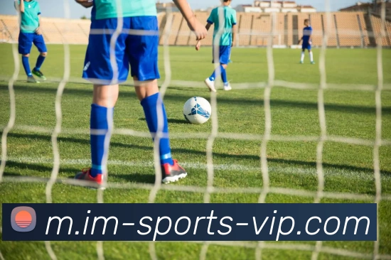 IM体育APP 封面图